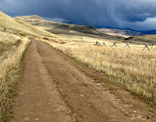 light sun grass sunshine montana shadows fences dirt fields roads backroads dirtroads ranches wolfcreekmontana