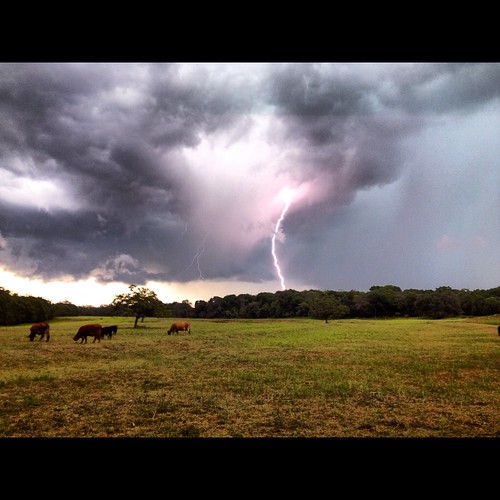 ranch storm lightning