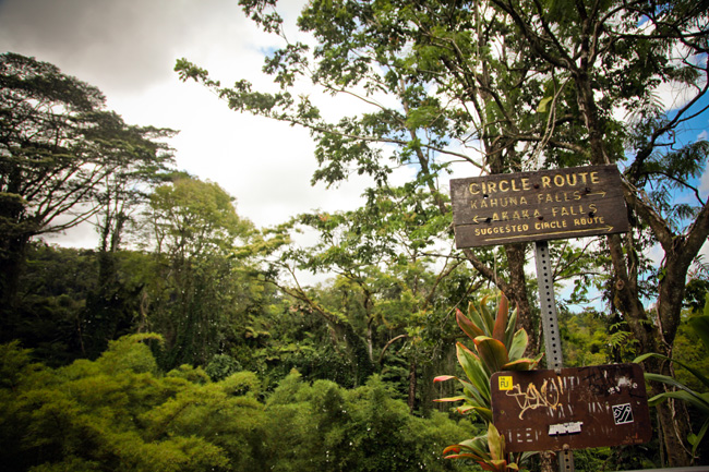 Akaka Falls State Park Hike Big Island Hawaii | on our epic cross country roadtrip | 50 states photography challenge