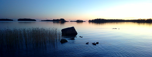 blue sea mobile espoo suomi finland dark landscape evening twilight europe dusk shoreline cellphone eu scandinavia westend meri ilta crepuscular sorsa wildduck evenfall hämärä pureview lindholmsfjärden nokia808