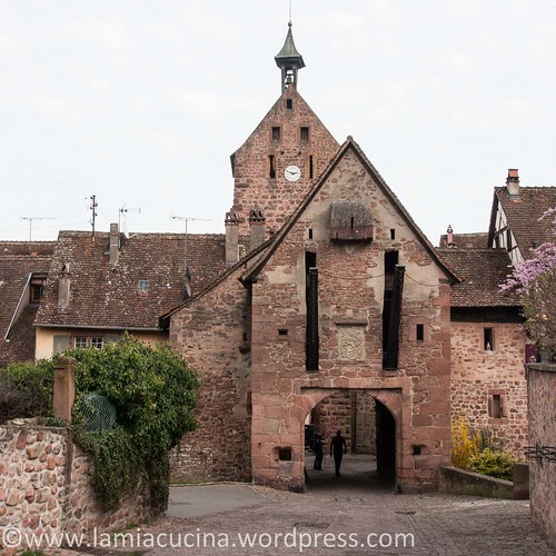 Alsace14 2014 03 18_3500