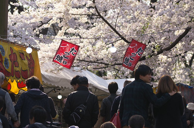 東京春景色 谷中上野お花見散歩 2014年4月1日