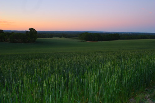 sunset summer field evening wheat berkshire gibbet combe