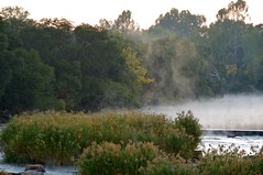 Vaal River morning mist II