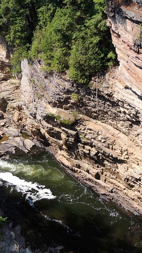 trees newyork tree history nature water river landscape natural cliffs ausablechasm ausableriver keeseville