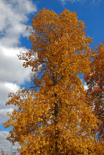 ohio fallcolor autumncolors marietta churchtown falllandscape churchtownohio rummerroad