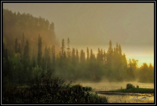 autumn mist water fog creek finland river nationalpark rapids kuusamo usva sumu aamu kitka karhunkierros oulanka päähkänänkallio