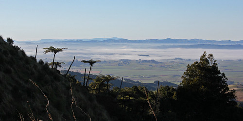 mountains fog rural canon landscape farmland hills pasture waikato ferns hillside rugged bombayhills 550d t2i canoneos550d mtpuketutu