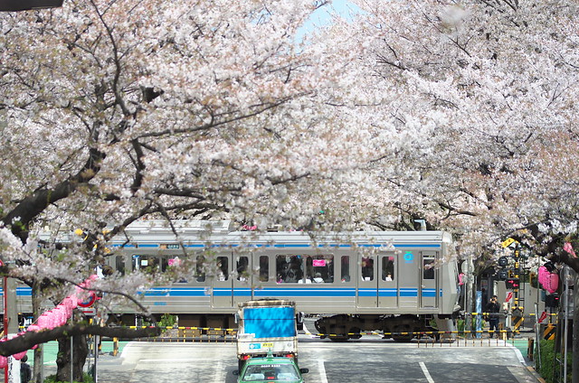 Tokyo Train Story 西武新宿線 2014年4月5日
