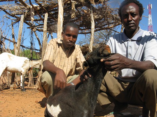 Northern Kenya August 2008