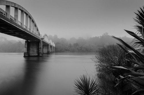 morning bridge shadow newzealand blackandwhite water monochrome fog river franklin nikon moody wideangle auckland waikato northisland sep2 waikatoriver 1024mm d7000