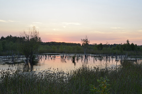 sunset sky holland reflection nature water nikon cloudy rene natuur veen nikkor moor emmen mensen bargerveen d5100 meerstalblok