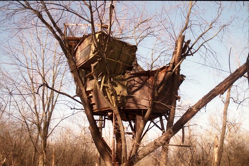 Treehouse Feb 1999-009