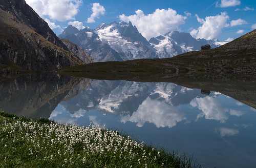 france fleur montagne alpes eau pentax lac glacier reflet chalet miroir paysage meije écrins k01 flickraward5