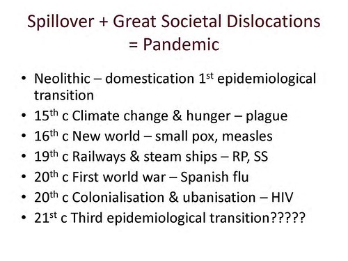 Disease spillover + societal dislocation = pandemic