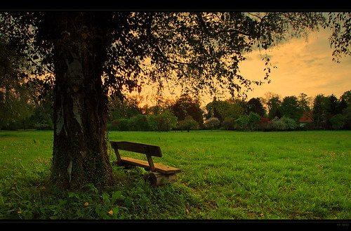 park deutschland natur bank meditation grün aussicht schatten brandenburg baum esoterik rasen abends entspannen ruhe frankherrmann