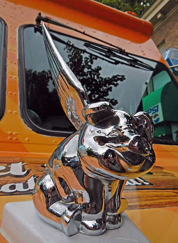 one-winged flying pig hood ornament