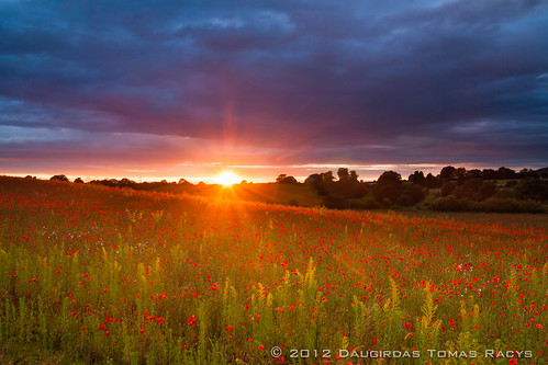 red sky sun storm english nature beauty field grass rain clouds contrast landscape star golden countryside intense scenery colours view country illumination short poppy poppies british rays moment burst heavy organge starburst blackstone midlands sunstar kidderminster cultivated braking