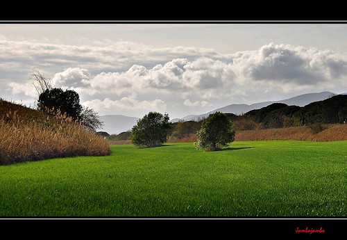 italy panorama landscape nikon italia tuscany fields toscana grosseto maremma campi ombrone d5000 diversivo canalediversivo jambojambo centroraccoltaquadrupedi