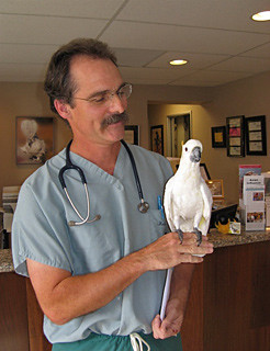 vets that treat birds near me