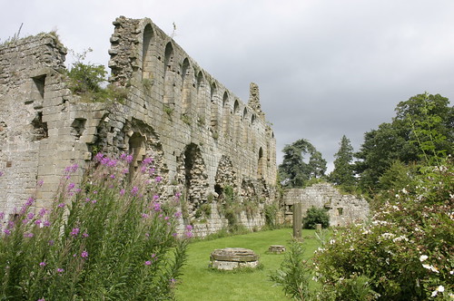 ruins cistercian northyorkshire jervaulx jervaulxabbey