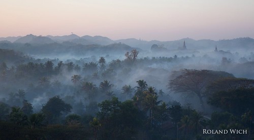mist fog sunrise burma myanmar birma birmanie mrauku birmania