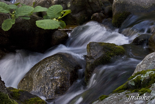 naturaleza agua bosque avila piedras garganta lanzahita efectoseda