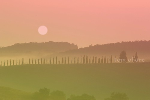 trees italy mist beautiful sunrise landscape tuscany casoledelsa