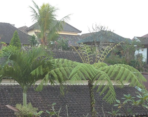 Bali-Munduk-Village (49)