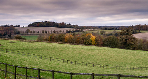 autumn trees england beauty countryside colours natural unitedkingdom fences fields avenue copse sydmonton ecchinswell hamphshire