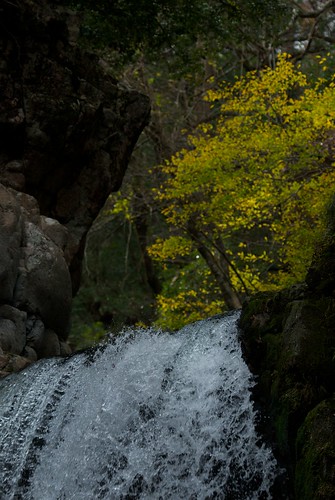 紅葉 秋 滝 三段峡