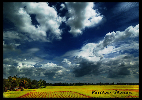 cloud india rural nikon farming bluesky mustard rajasthan jharkhand ruralindia