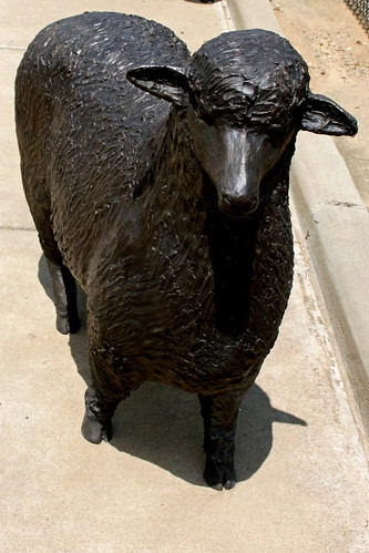 ohio sculpture art metal bronze midwest sheep zanesville ohiosculpture ohiosculptor