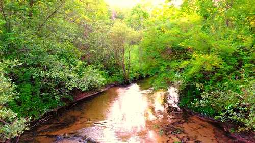 serene water reflections trees grandriverwatershed michigan westmichigan parks android stream river creation nature green brown stegmancreek trestlepark scenic summer creek rogueriverwatershed usa june ecology kentcounty wonderfulworld beautifulearth