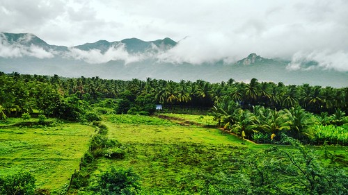Monsoon beauty #nature #mobile #photography