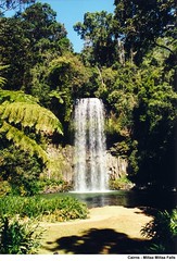 Cairns Milaa Milaa Falls