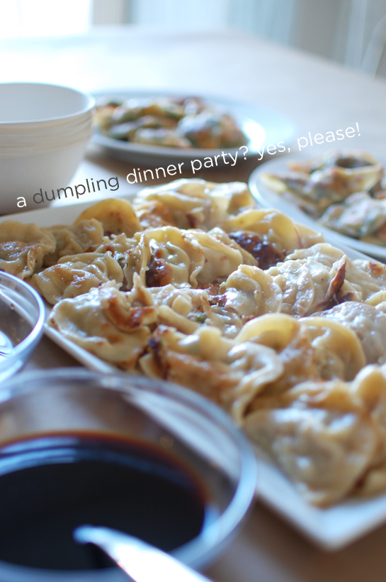 dumpling dinner party