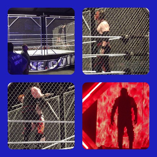 WWE Augusta Cage Collage