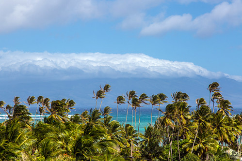 ocean usa palms island hawaii maui hi 2012 molokai pailolochannel haleleilani