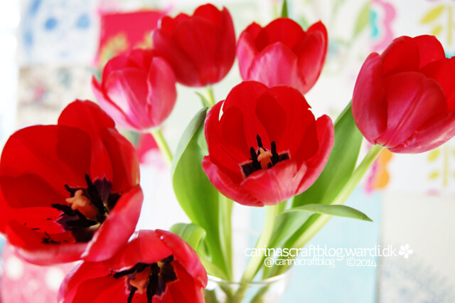 I *heart* tulips