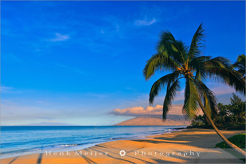 ocean park morning trees sky usa tree tourism beach water america sunrise canon landscape hawaii sand mood colours view pacific atmosphere maui romance palm palmtrees colourful viewpoint meijer henk kihei kamaole warmcolors floydian kamaolebeachpark proframe proframephotography canoneos1dsmarkiii henkmeijer