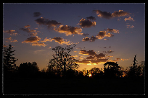 trees sunset abbey silhouette pentax wiltshire nationaltrust lacock kx
