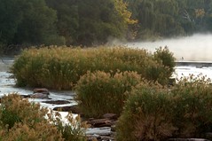 Vaal River morning mist