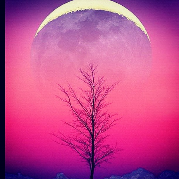 #moon #sunset #sunrise #purple #pink #followme #pretty #tree #winter # ...