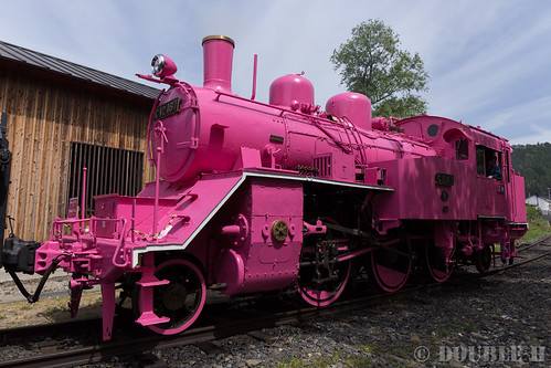 Pink SL at Wakasa Railway (28)