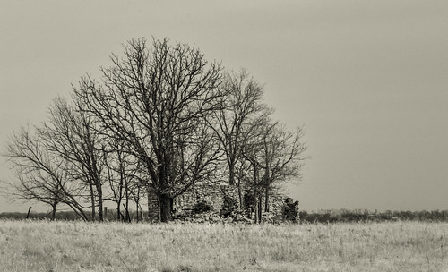 winter blackandwhite monochrome field grass horizon masonry infrared baretrees crumbling santafetrail