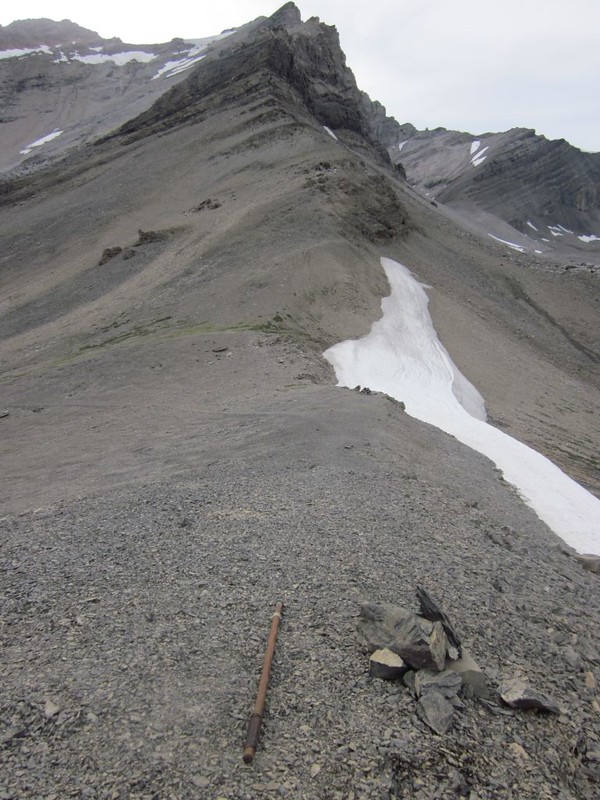 Badger Pass and the residual snow cornice on the east side