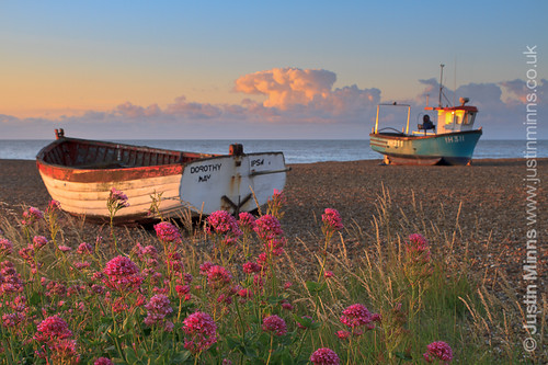 pink flowers summer seascape beach sunrise boats suffolk aldeburgh