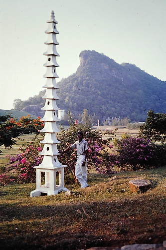 garden japanese srilanka inginiyagala galoyadam
