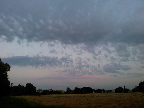 sunset italy panorama milan alberi clouds canon landscape countryside corn italia tramonto nuvole milano country ears shades campagna cielo land campaign grano cifra campi nubi spighe sfumature intouchwithnature viewofcountryside cifrawebmaster flickrandroidapp:filter=none